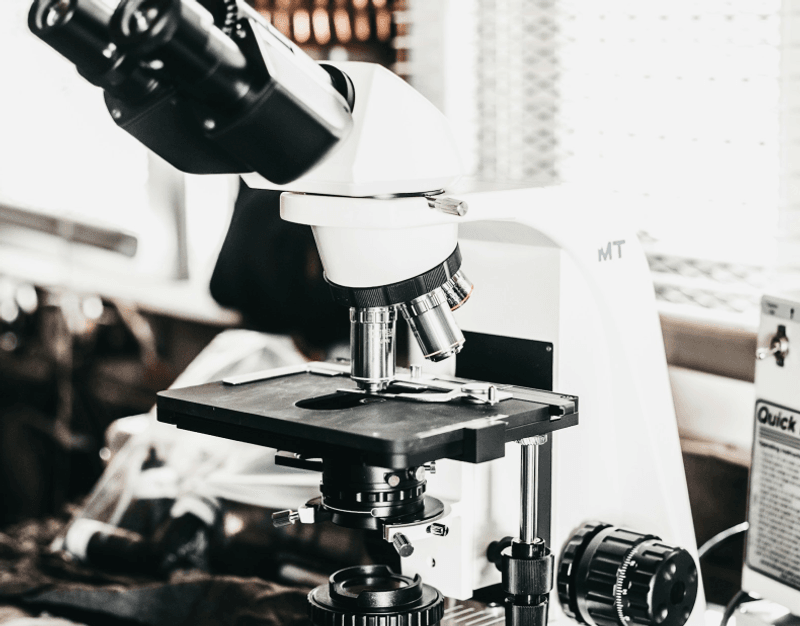 Фестиваль Наука 0+ image